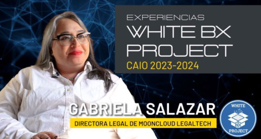 VS13-2025